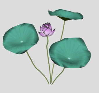 莲花荷花荷叶SU模型下载_sketchup草图大师SKP模型