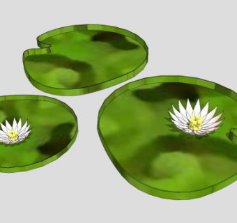 王莲白莲花莲叶SU模型下载_sketchup草图大师SKP模型
