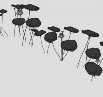 墨色莲花莲叶SU模型下载_sketchup草图大师SKP模型