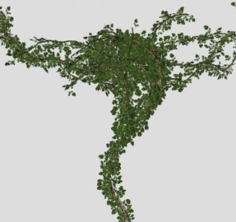 木质藤蔓SU模型下载_sketchup草图大师SKP模型