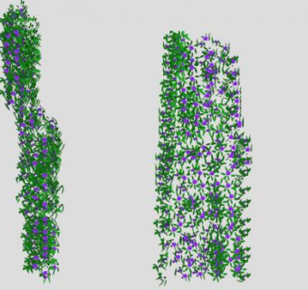 紫色小花藤蔓SU模型下载_sketchup草图大师SKP模型