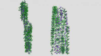 紫色小花藤蔓SU模型下载_sketchup草图大师SKP模型