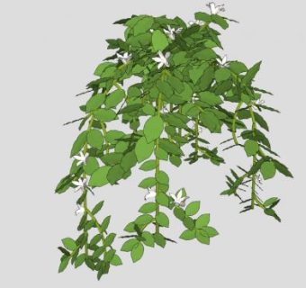 藤蔓植物SU模型下载_sketchup草图大师SKP模型