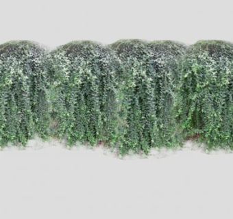 藤蔓SU模型下载_sketchup草图大师SKP模型