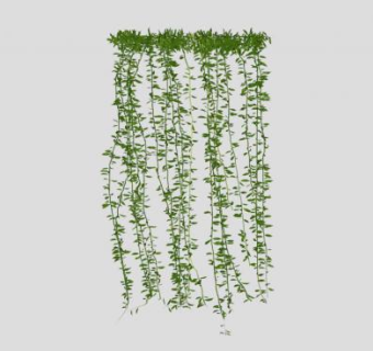 绿藤藤蔓爬墙植物SU模型下载_sketchup草图大师SKP模型