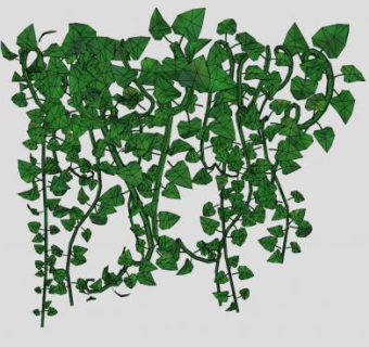 牵牛藤蔓SU模型下载_sketchup草图大师SKP模型