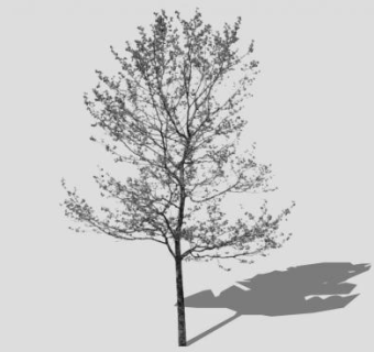 冬景树SU模型下载_sketchup草图大师SKP模型