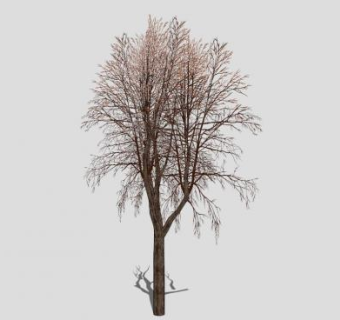 秋季树木枯树SU模型下载_sketchup草图大师SKP模型