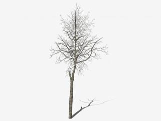 冬季树木<em>枯树</em>SU模型下载_sketchup草图大师SKP模型
