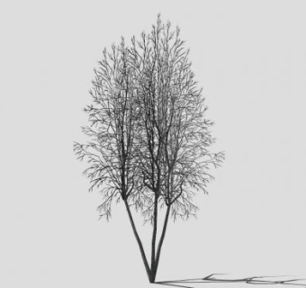 冬景树树木枯树SU模型下载_sketchup草图大师SKP模型