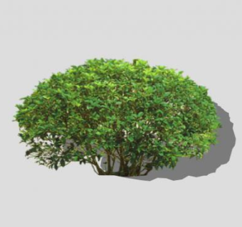 灌木球植物素材SU模型下载_sketchup草图大师SKP模型