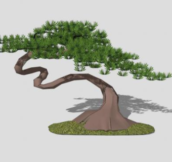 迎客松素材SU模型下载_sketchup草图大师SKP模型