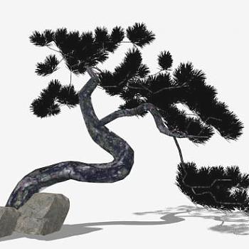 迎客松植物SU模型下载_sketchup草图大师SKP模型