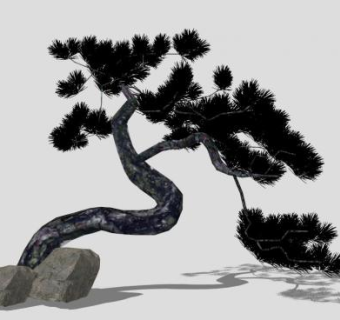 迎客松植物SU模型下载_sketchup草图大师SKP模型