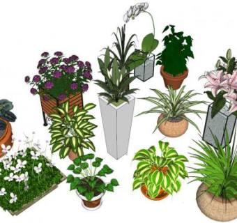 各种花盆盆栽装饰品SU模型下载_sketchup草图大师SKP模型