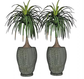 树木盆景盆栽SU模型下载_sketchup草图大师SKP模型