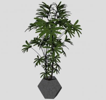 石质花盆盆栽植物SU模型下载_sketchup草图大师SKP模型