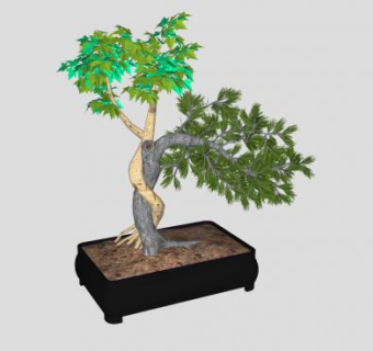 迎客松盆栽植物SU模型下载_sketchup草图大师SKP模型