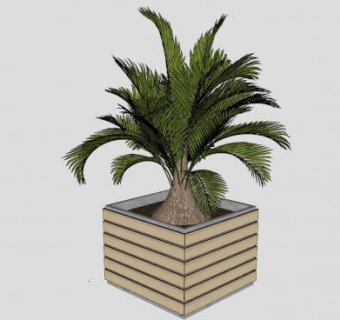 正方形花盆花箱植物铁树SU模型下载_sketchup草图大师SKP模型
