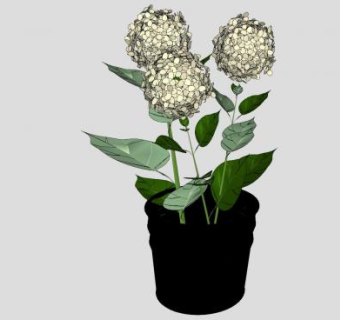开花盆栽植物SU模型下载_sketchup草图大师SKP模型