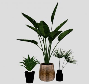花瓶花盆盆栽植物SU模型下载_sketchup草图大师SKP模型