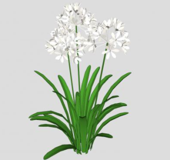 白色小草植物SU模型下载_sketchup草图大师SKP模型