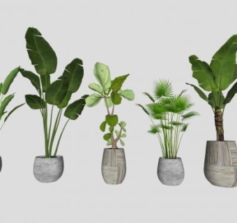 圆形小花盆植物SU模型下载_sketchup草图大师SKP模型