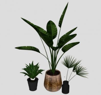 室内花盆植物盆栽SU模型下载_sketchup草图大师SKP模型