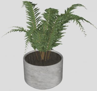 观赏盆栽花盆植物SU模型下载_sketchup草图大师SKP模型