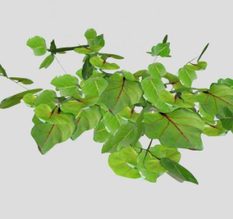 绿色叶子SU模型下载_sketchup草图大师SKP模型