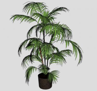 大型落地盆栽植物SU模型下载_sketchup草图大师SKP模型