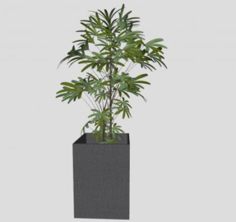 方形盆栽植物SU模型下载_sketchup草图大师SKP模型