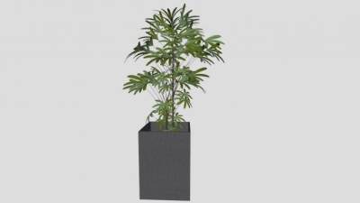 方形盆栽植物SU模型下载_sketchup草图大师SKP模型