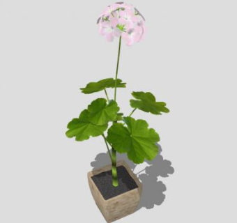开花花盆植物SU模型下载_sketchup草图大师SKP模型