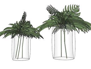 玻璃花瓶植物sketchup模型下载_sketchup草图大师SKP模型
