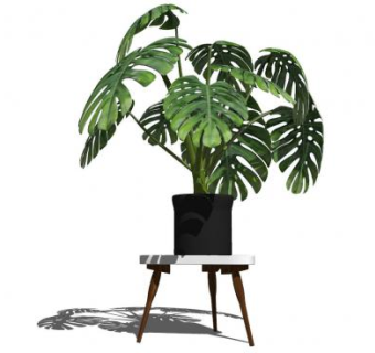 龟背竹花架花盆SU模型下载_sketchup草图大师SKP模型