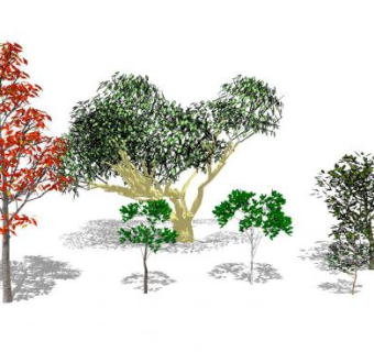 配景树树木SU模型下载_sketchup草图大师SKP模型