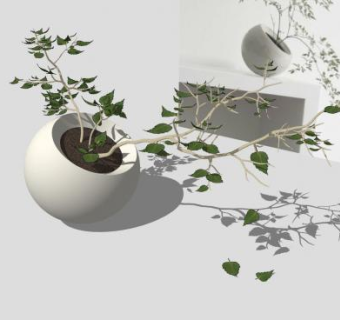 简约花盆植物SU模型下载_sketchup草图大师SKP模型