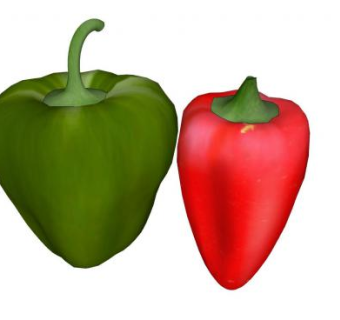 辣椒灯笼椒SU模型下载_sketchup草图大师SKP模型