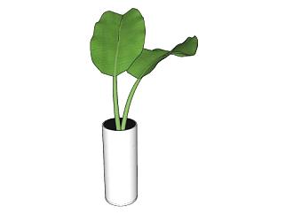 小花瓶植物SU模型下载_sketchup草图大师SKP模型