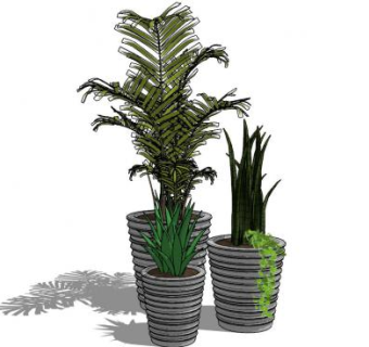 观赏花盆植物SU模型下载_sketchup草图大师SKP模型
