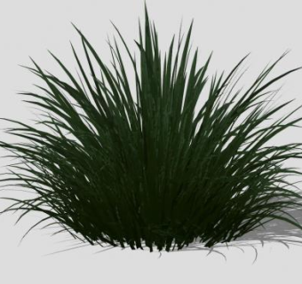 丛草小草杂草SU模型下载_sketchup草图大师SKP模型