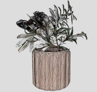 小型花盆植物SU模型下载_sketchup草图大师SKP模型