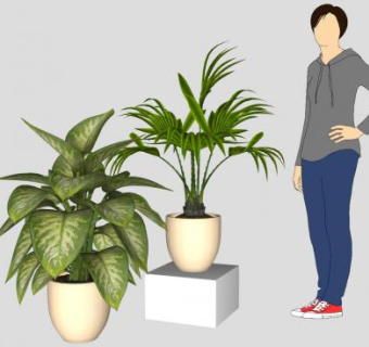 陶瓷花盆盆栽植物SU模型下载_sketchup草图大师SKP模型