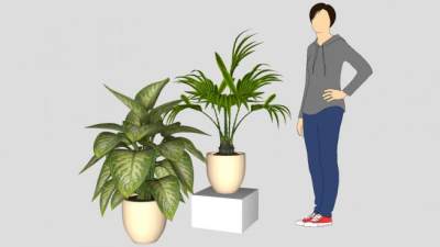 陶瓷花盆盆栽植物SU模型下载_sketchup草图大师SKP模型