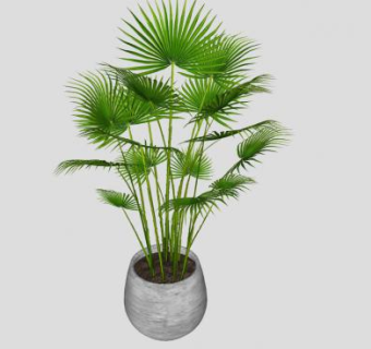 石制盆栽观赏植物SU模型下载_sketchup草图大师SKP模型