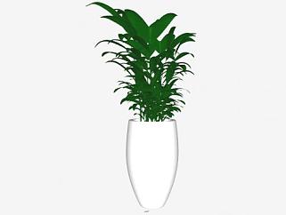 白色花盆花瓶植物SU模型下载_sketchup草图大师SKP模型