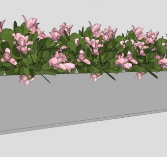 花圃花坛花朵SU模型下载_sketchup草图大师SKP模型