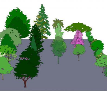 2D树种系列SU模型下载_sketchup草图大师SKP模型