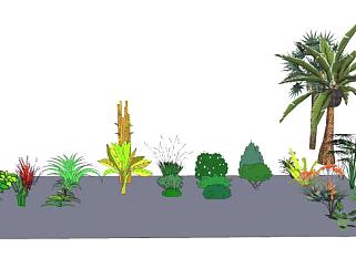 2D灌木植物系列SU模型下载_sketchup草图大师SKP模型